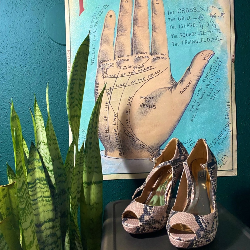 Retired Coach Snakeskin Platform Heels 8.5